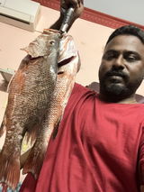 Kirubakaran Nandakumar review photo