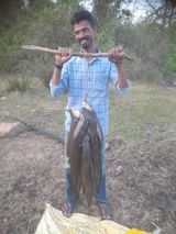 Ajesh N A review photo