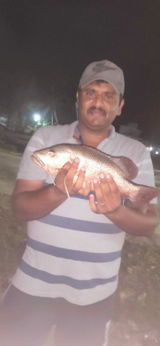 Suhail Sadique review photo