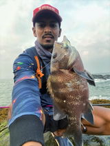 Ryan angler tv review photo