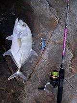 Ryan angler tv review photo