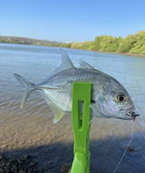 Ryan angler tv review photo