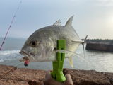 Ryan angler tv review photo