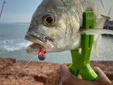 Ryan angler tv review photo