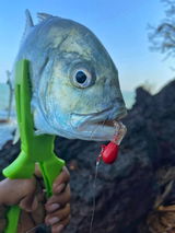 Ryan angler tv review photo