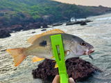Ryan angler tv review photo