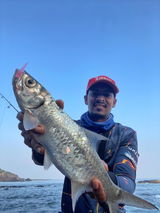 Ryan angler tv review photo