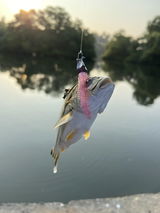 Ryan angler tv review photo