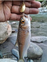 Younash Lepcha review photo
