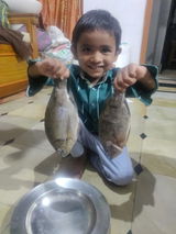 Abdul mustafa review photo