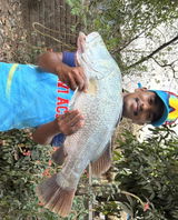 Prashant Patil review photo