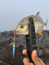 Ryan angler tv review photo