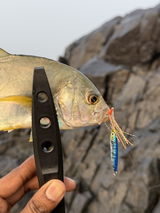 Ryan angler tv review photo