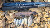 The Fishing Maniac review photo