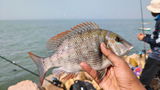 The Fishing Maniac review photo