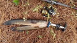Inso angler review photo