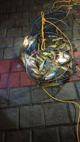 Winolin Menezes review photo