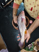 rishu rajesh review photo
