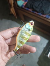 Chukhu Tassar review photo