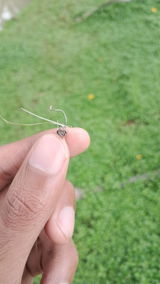 Jame review photo