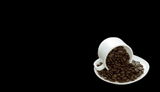 CLAUDE CHAMPAGNE review photo