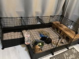 Zoe H. review photo