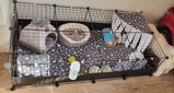 Sharna S. review photo