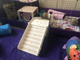 Aimee S. review photo
