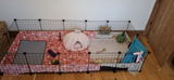 Kayleigh review photo