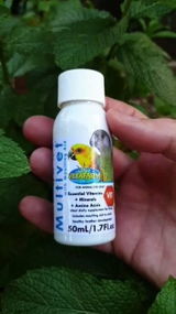 Qasim review photo