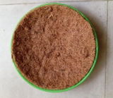 Dawood gaba review photo
