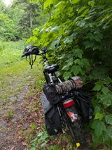 Yann Gonthier review photo