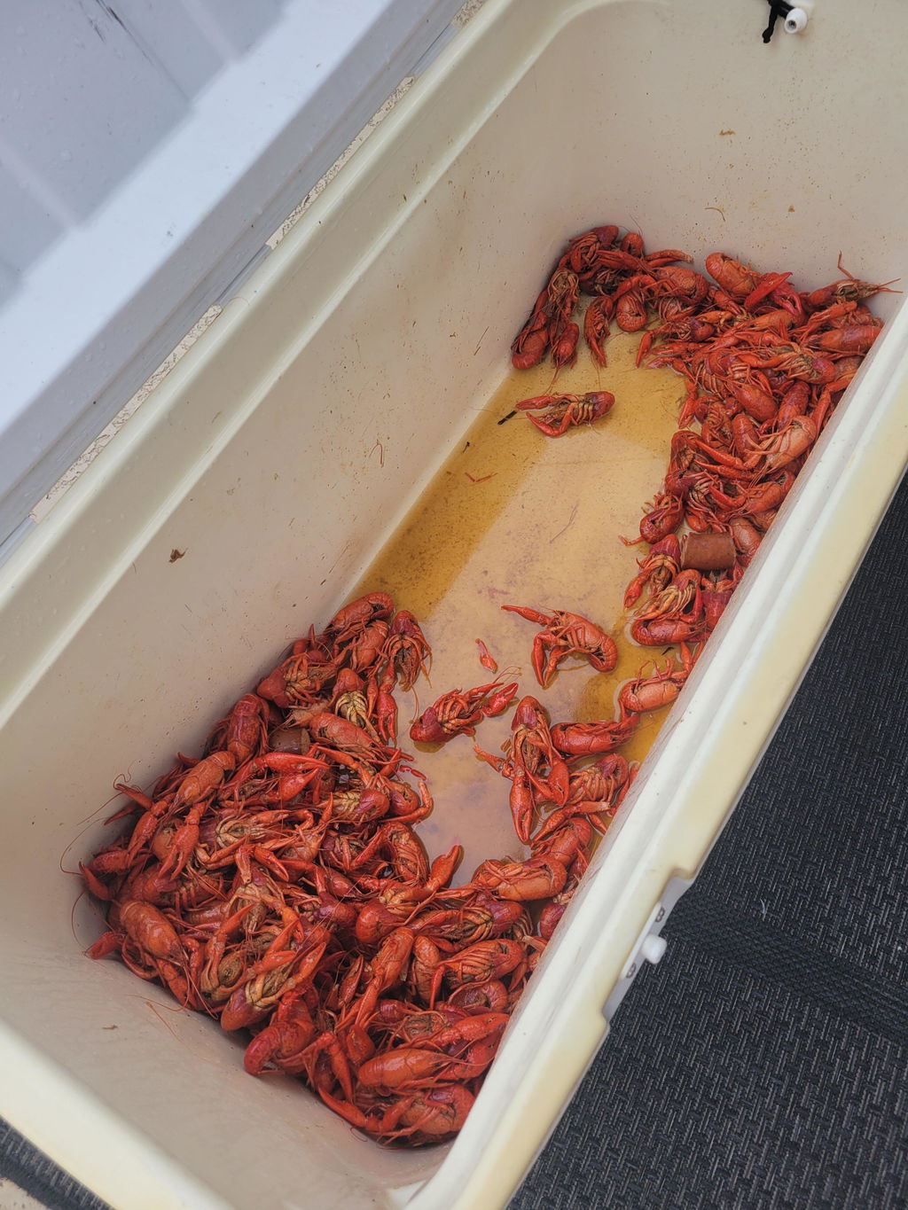 Pi-Yahhhhh!! Crawfish Boil Seasoning