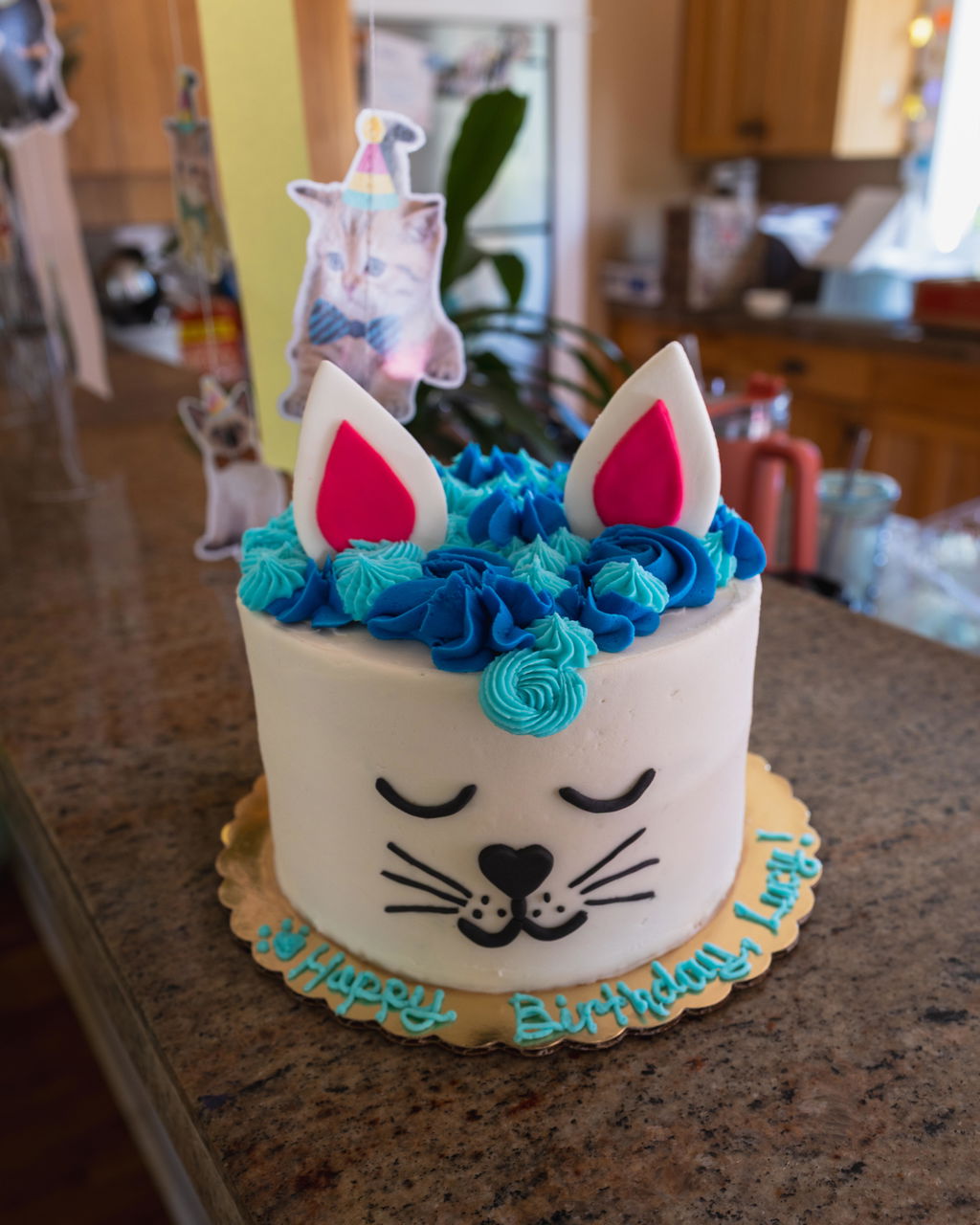Ready-to-Serve Cat Cake - Pickup @ Cake Hoopla