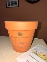 Sign in with Apple user review photo