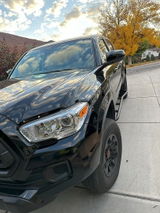 Tom review photo