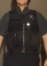 CJSecurity review photo