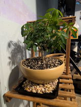 Jack M Baugher review photo
