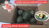 Raul Garza review photo