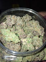 Bishoplejeune review photo