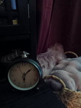 S Beecham review photo