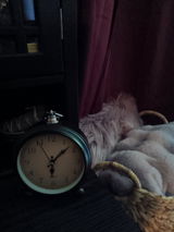 S Beecham review photo