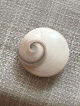 Lau review photo