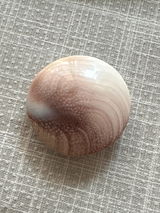 Lau review photo