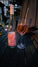 Korinna Schlink review photo