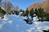Simone review photo