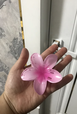 Agnieszka review photo