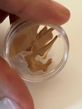 Angel review photo