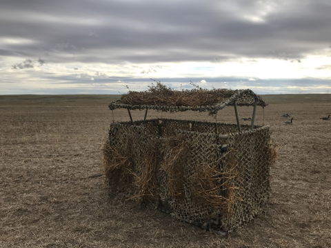 Digital Desert Military Reinforced Camo Netting