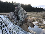Kodiak kid review photo